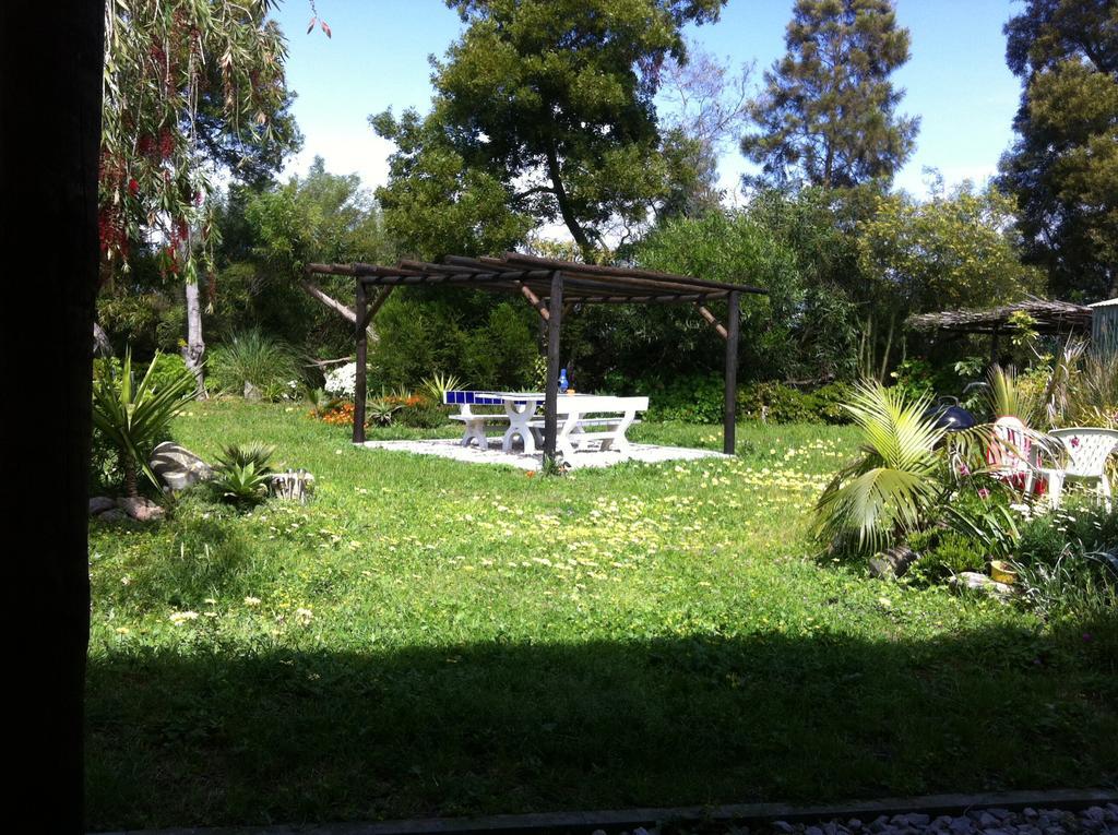 Alentejo Pig Dog Surf Camp Hotel Palhota Exterior photo
