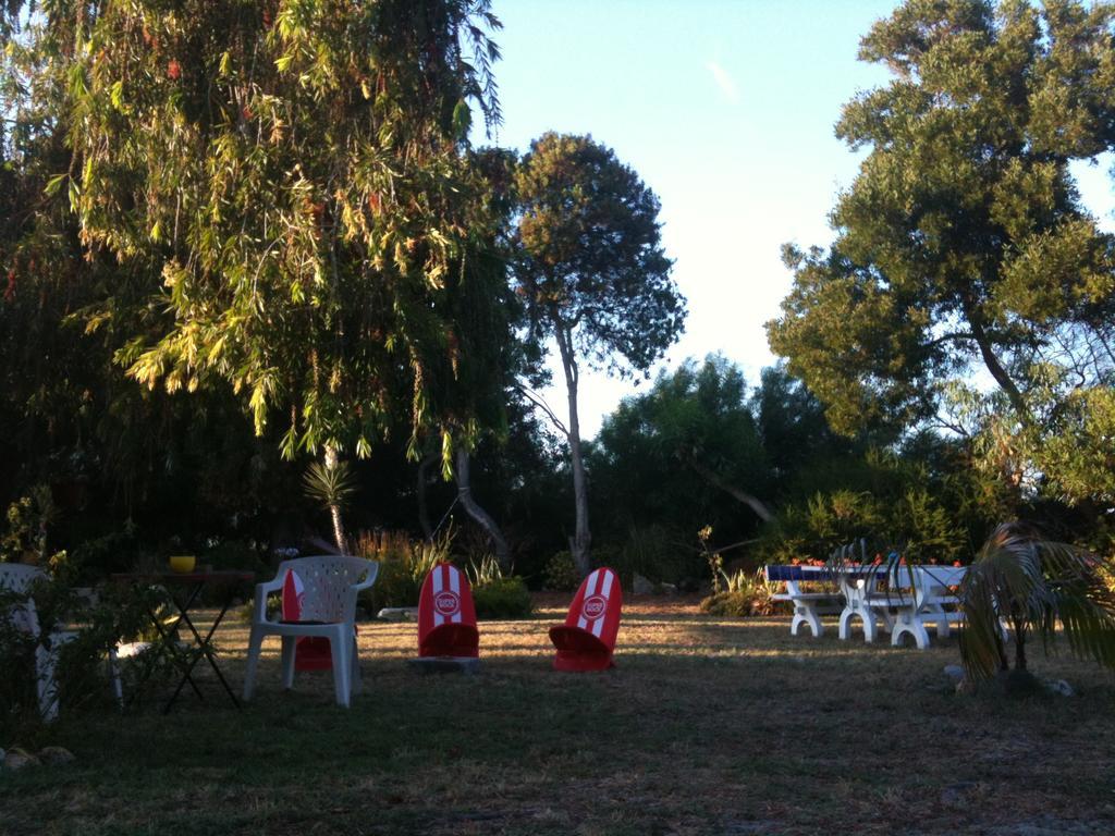 Alentejo Pig Dog Surf Camp Hotel Palhota Exterior photo